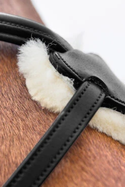 Horze Prescott Mexikanische Trense -Pferdebedarf Angebote 10012 BL 04