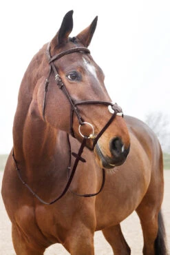 Horze Prescott Mexikanische Trense -Pferdebedarf Angebote 10012 BR 03