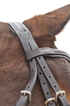 Horze Prescott Mexikanische Trense -Pferdebedarf Angebote 10012 BR 05