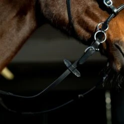 Horze Gebisslose Trense 11 Horze Gebisslose Trense -Pferdebedarf Angebote 10081 BL 6