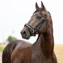 Horze Grayson Anatomische Trense 25 Horze Grayson Anatomische Trense -Pferdebedarf Angebote 10084 BL 1