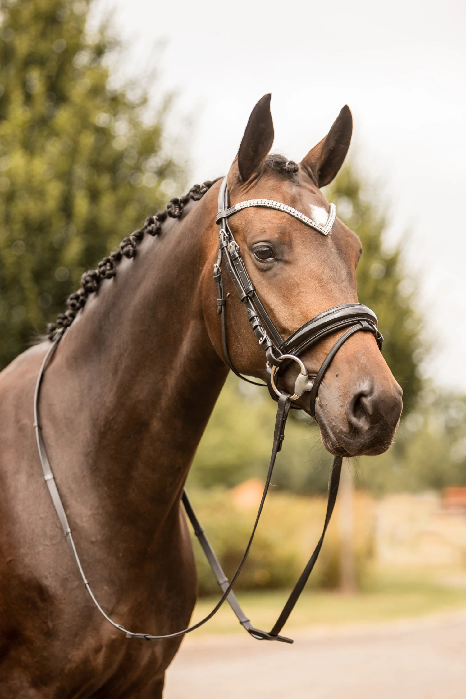 Horze Grayson Anatomische Trense 4 Horze Grayson Anatomische Trense – Bild 4