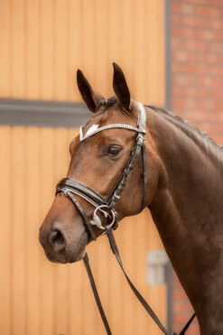 Horze Grayson Anatomische Trense 24 Horze Grayson Anatomische Trense -Pferdebedarf Angebote 10084 BL WH 4