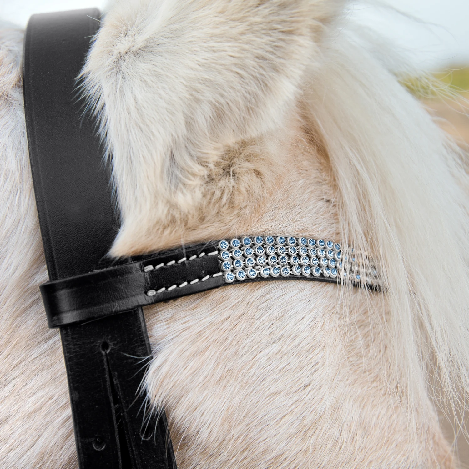 Horze Pony Trense 5 Horze Pony Trense – Bild 5
