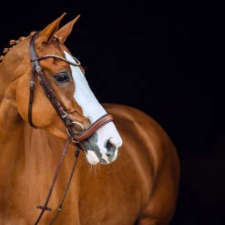 Horze Positano Anatomische Hannoveranische Trense -Pferdebedarf Angebote 10126 BR 3