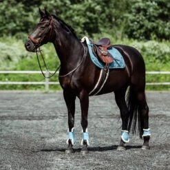 Horze Positano Anatomische Hannoveranische Trense -Pferdebedarf Angebote 10126 BR 4