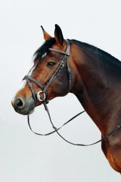 Horze Buxton Anatomische Trense Mit Zügeln -Pferdebedarf Angebote 10158 BL 3