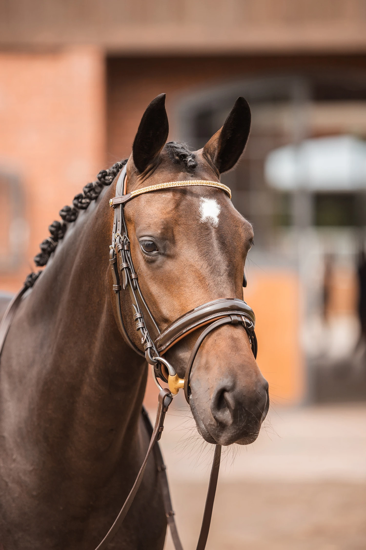 Horze Nancy Stirnriemen Mit Kristallen Und Flechtdetail 11 Horze Nancy Stirnriemen Mit Kristallen Und Flechtdetail – Bild 11