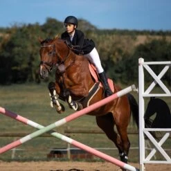 Horze Atlanta Stollenschutz-Sattelgurt Mit Fleecefutter -Pferdebedarf Angebote 14677 DBR 3