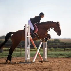 Horze Atlanta Stollenschutz-Sattelgurt Mit Fleecefutter -Pferdebedarf Angebote 14677 DBR 4