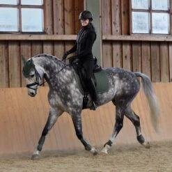 Horze Adepto Dressurschabracke -Pferdebedarf Angebote 17353 BKGR 7