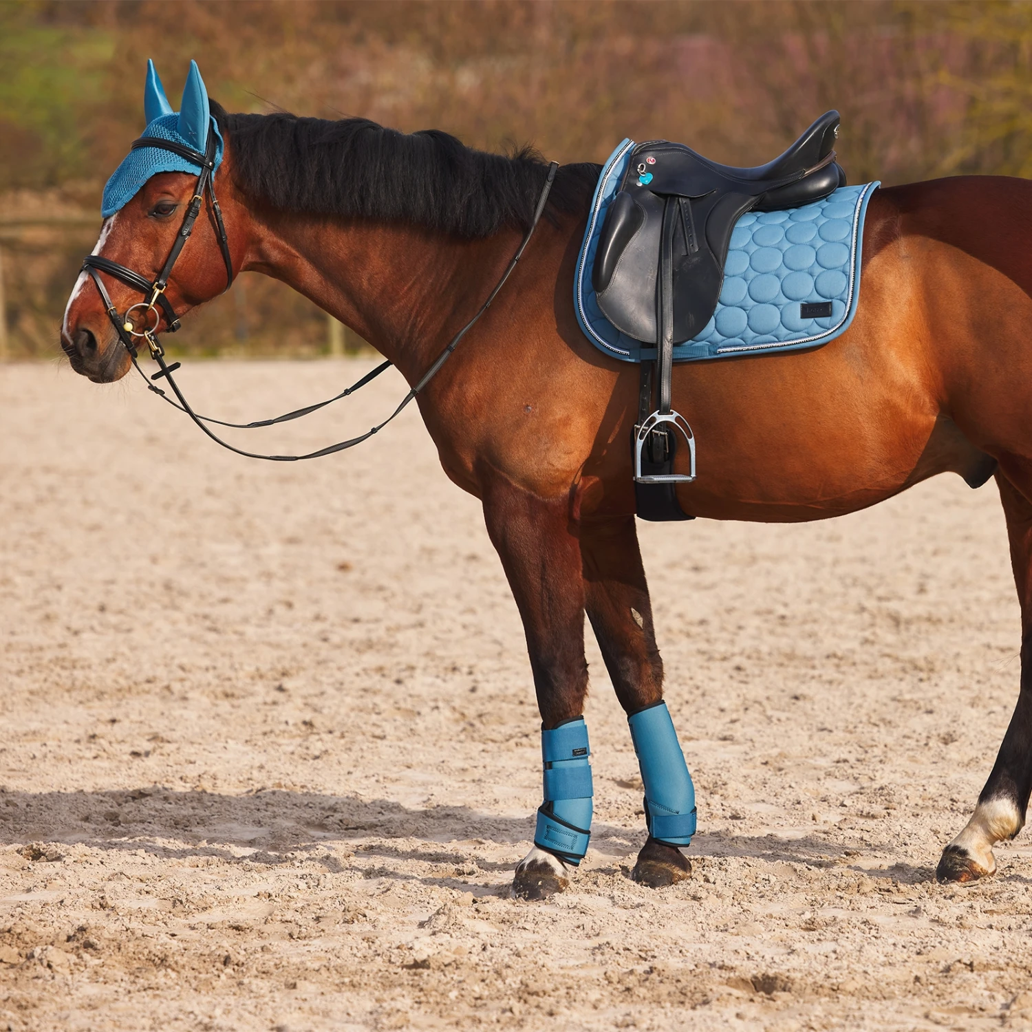 Horze Marquess Neopren-Gamaschen 7 Horze Marquess Neopren-Gamaschen – Bild 7