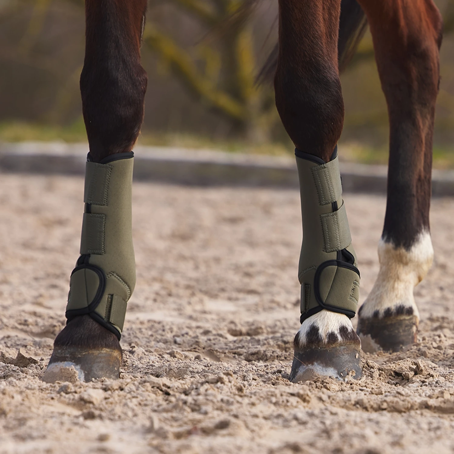 Horze Marquess Neopren-Gamaschen 15 Horze Marquess Neopren-Gamaschen – Bild 15