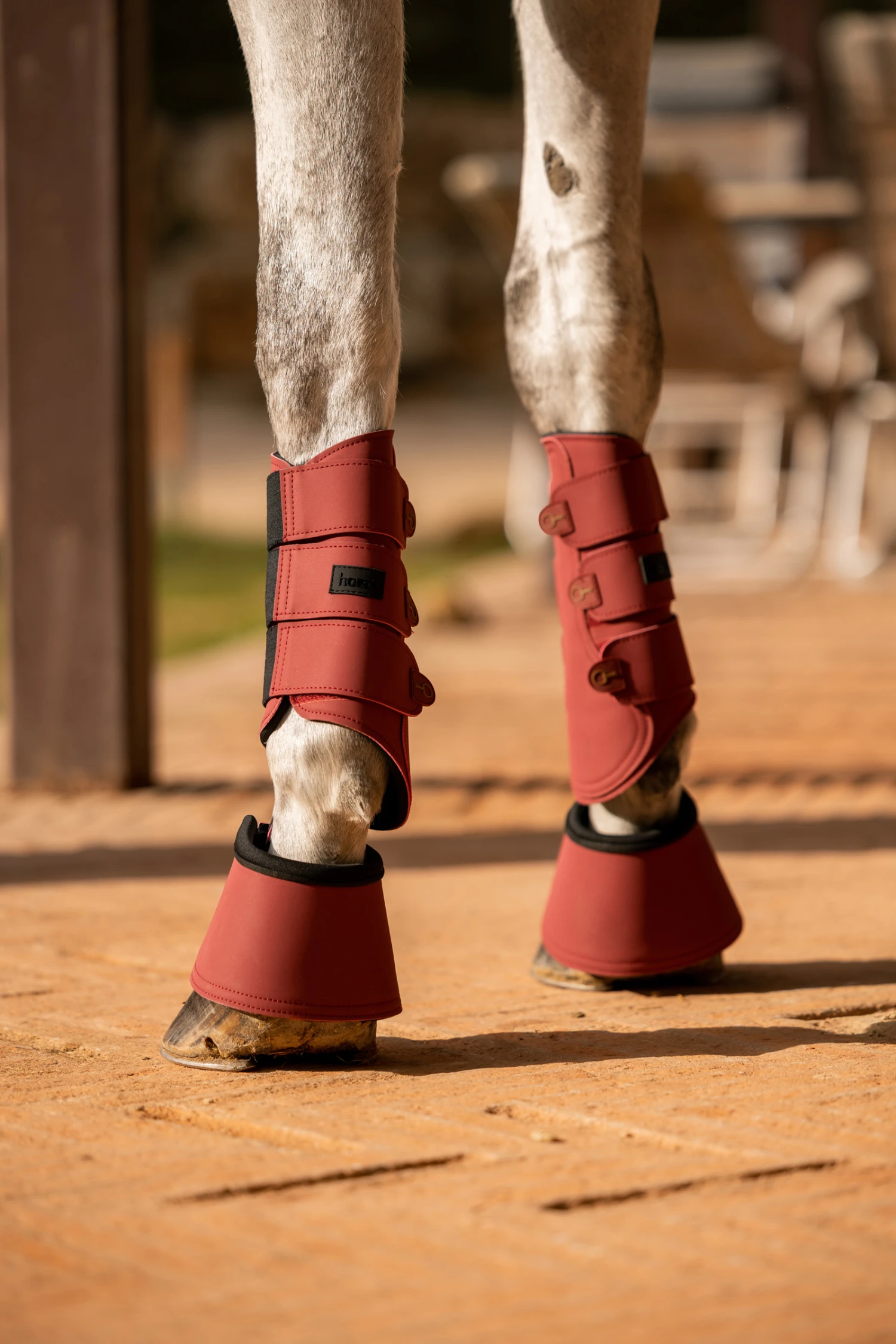 Horze Noir Gamaschen 6 Horze Noir Gamaschen – Bild 6