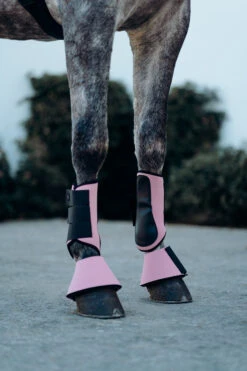 Horze Munich Gamaschen -Pferdebedarf Angebote 19282 RTPI 5