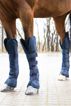 Horze Transportgamaschen 6 Horze Transportgamaschen -Pferdebedarf Angebote 19454 pdb 03