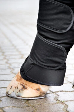 Horze Transportgamaschen -Pferdebedarf Angebote 19506 bl 04