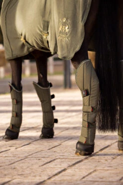 B Vertigo Wellington Transportgamaschen (4er Set) -Pferdebedarf Angebote 19528 630 06