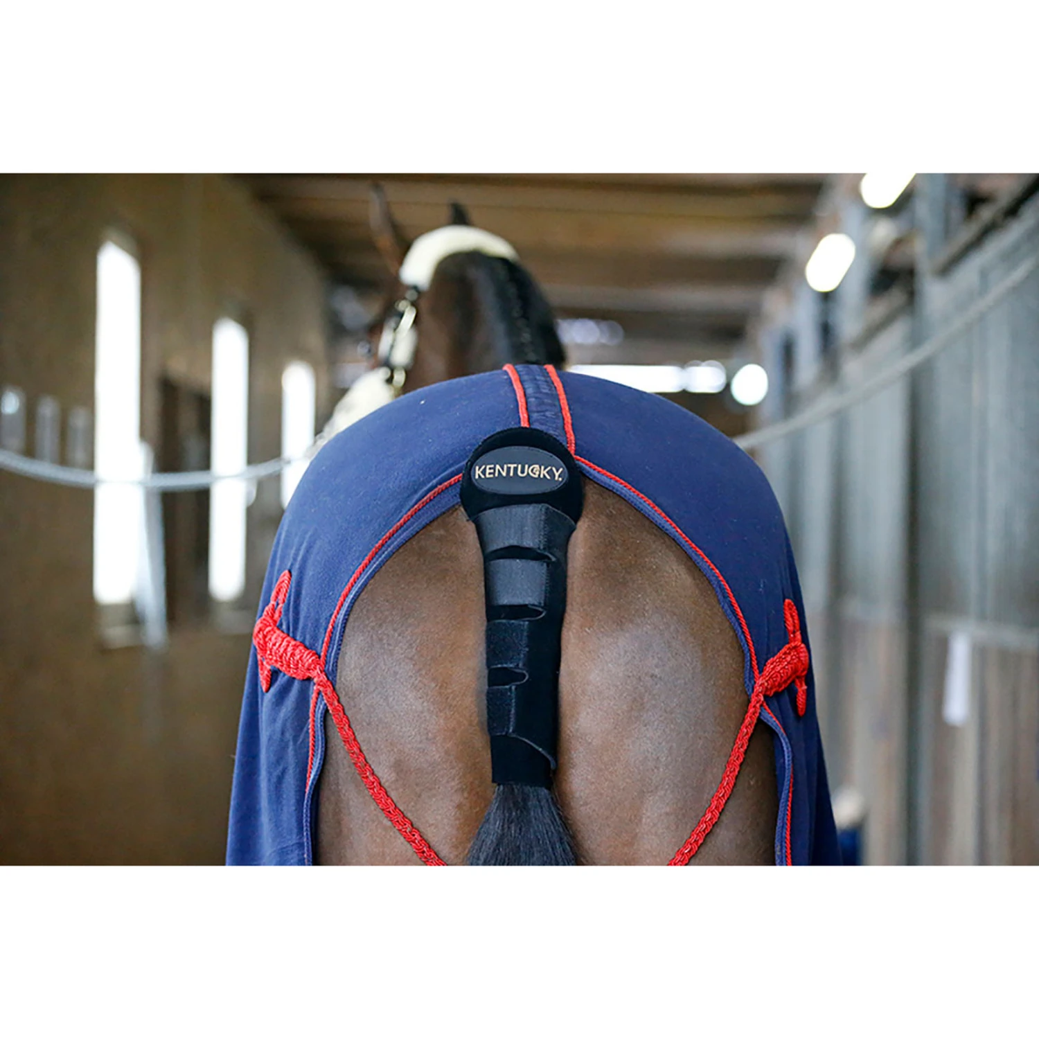 Kentucky Horsewear Schweifschoner / Schweiftasche 5 Kentucky Horsewear Schweifschoner / Schweiftasche – Bild 5