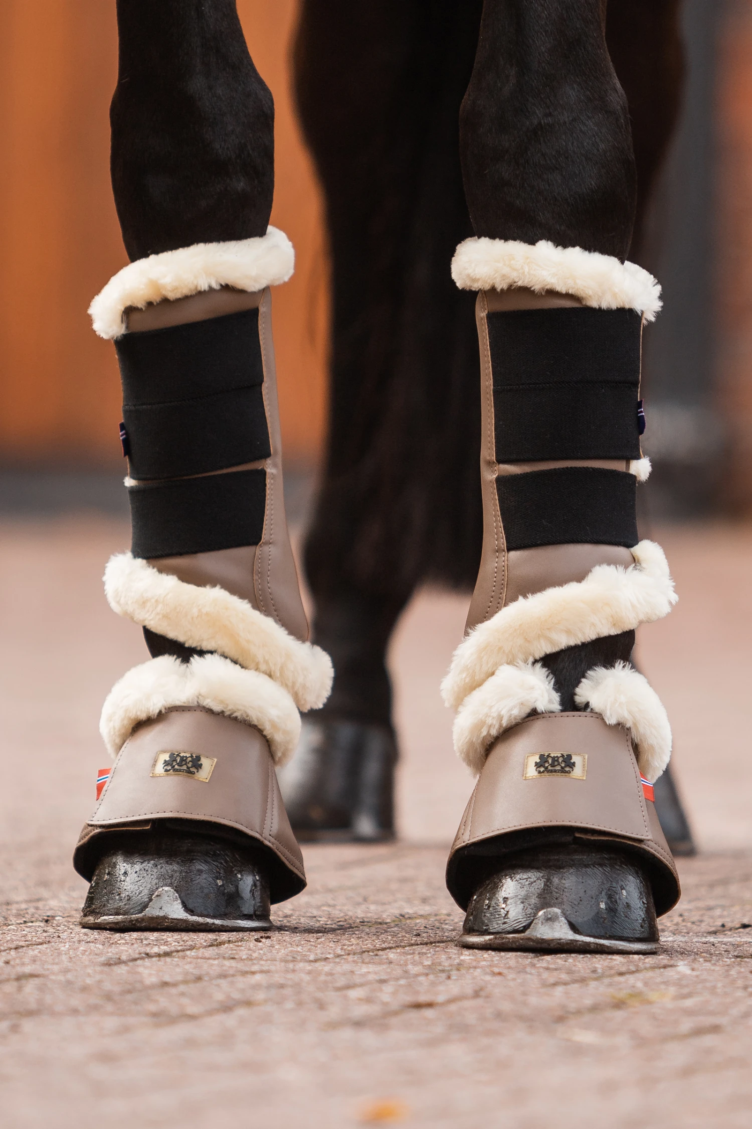 B Vertigo Quinn Hufglocken 5 B Vertigo Quinn Hufglocken – Bild 5