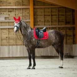 B Vertigo Raxus Fliegenhaube 21 B Vertigo Raxus Fliegenhaube -Pferdebedarf Angebote 22862 LPPI 4