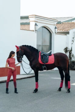 B Vertigo Laurel Fliegenhaube 20 B Vertigo Laurel Fliegenhaube -Pferdebedarf Angebote 22930 MNRE 5