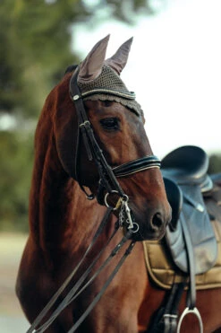 B Vertigo Drew Fliegenhaube -Pferdebedarf Angebote 22931 UBBR 3