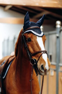 B Vertigo Cameron Fliegenhaube 17 B Vertigo Cameron Fliegenhaube -Pferdebedarf Angebote 22944 VDB 3