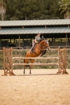 Horze Kenya Fliegenhaube -Pferdebedarf Angebote 22947 753 06