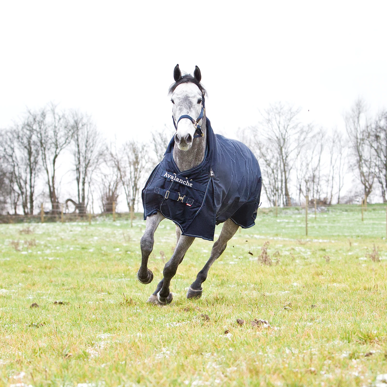 Horze Avalanche 1200D Regendecke Mit Hohem Hals Und Fleecefütterung 12 Horze Avalanche 1200D Regendecke Mit Hohem Hals Und Fleecefütterung – Bild 12