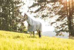 Horze Nevada Combo Regen-/Fliegendecke Mit Abnehmbarem Halsteil 27 Horze Nevada Combo Regen-/Fliegendecke Mit Abnehmbarem Halsteil -Pferdebedarf Angebote 24043 lrg 09