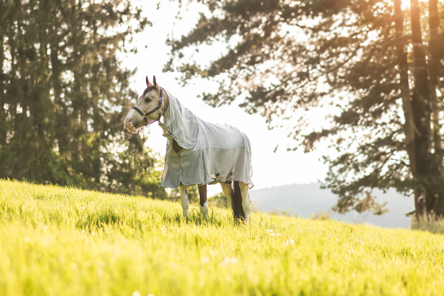 Horze Nevada Combo Regen-/Fliegendecke Mit Abnehmbarem Halsteil 8 Horze Nevada Combo Regen-/Fliegendecke Mit Abnehmbarem Halsteil – Bild 8