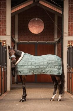 Horze Geneva Stalldecke, 200g 5 Horze Geneva Stalldecke, 200g -Pferdebedarf Angebote 24096 SIB 3