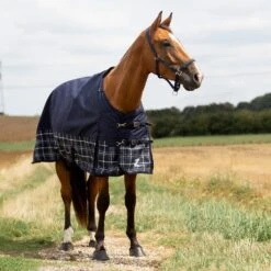 Horze Nevada 1200D Regendecke,100g -Pferdebedarf Angebote 24128 PDB LDGR 1