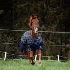 Horze Nevada 1200D Regendecke,100g -Pferdebedarf Angebote 24128 VDB MBZ 3