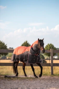 Horze Lucerne Halsteil, 250g -Pferdebedarf Angebote 24199 237 04