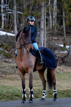 Pferdebedarf Angebote 18 Pferdebedarf Angebote -Pferdebedarf Angebote 24302 VDB 02