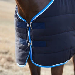 Neue Veröffentlichungen -Pferdebedarf Angebote 24306 DB 2