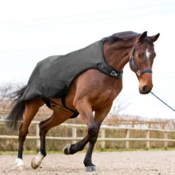 Horze Nevada Führanlagendecke, 200g -Pferdebedarf Angebote 24331 BL 3