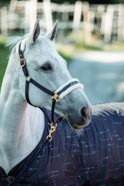 Horze Fairfax UV-Schutz Decke -Pferdebedarf Angebote 24377 vdb 03