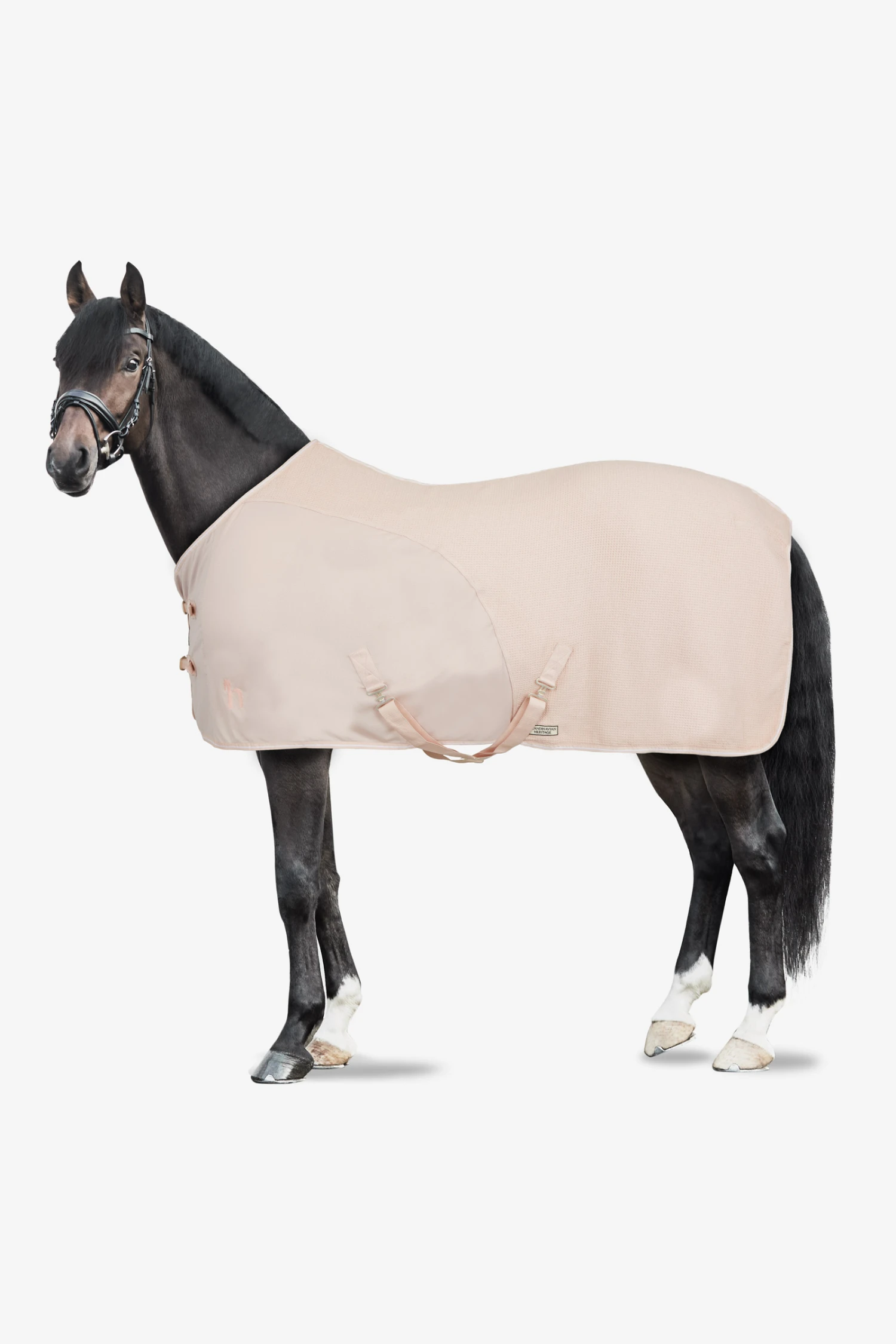 Horze Bari Kombinierte Mesh Abschwitzdecke 6 Horze Bari Kombinierte Mesh Abschwitzdecke – Bild 6