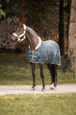 Horze Leigton Teens Collection Fleece Abschwitzdecke Mit Kunstfellkragen 7 Horze Leigton Teens Collection Fleece Abschwitzdecke Mit Kunstfellkragen -Pferdebedarf Angebote 24442 udgr 04
