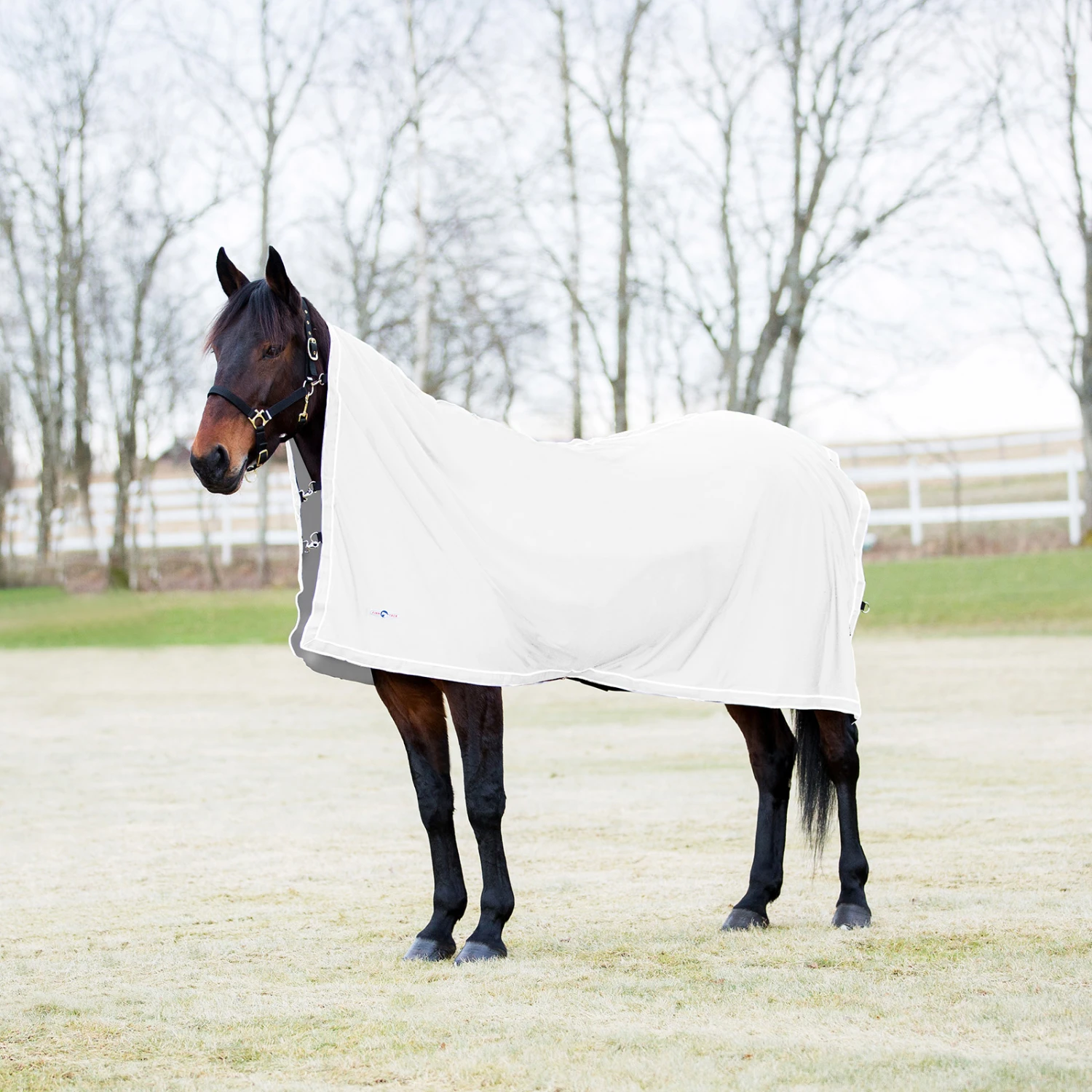 Finntack Pro Pritex Abschwitzdecke 5 Finntack Pro Pritex Abschwitzdecke – Bild 5