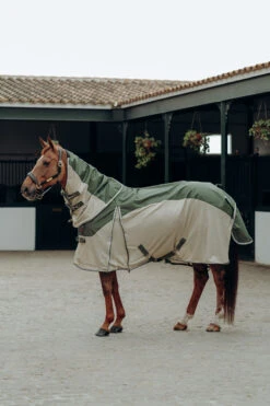 B Vertigo Jordan Combo Mesh Regendecke Mit Abnehmbarem Halsteil 13 B Vertigo Jordan Combo Mesh Regendecke Mit Abnehmbarem Halsteil -Pferdebedarf Angebote 24681 wggr 07