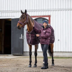 B Vertigo Corey Stalldecke, 250g -Pferdebedarf Angebote 24793 WDRE 1