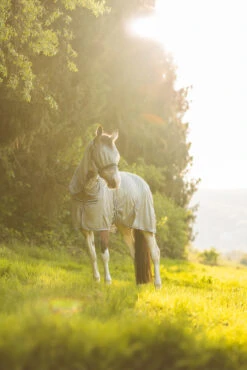 Horze La Pampa Fliegenschutz Set 31 Horze La Pampa Fliegenschutz Set -Pferdebedarf Angebote 24817 g 12