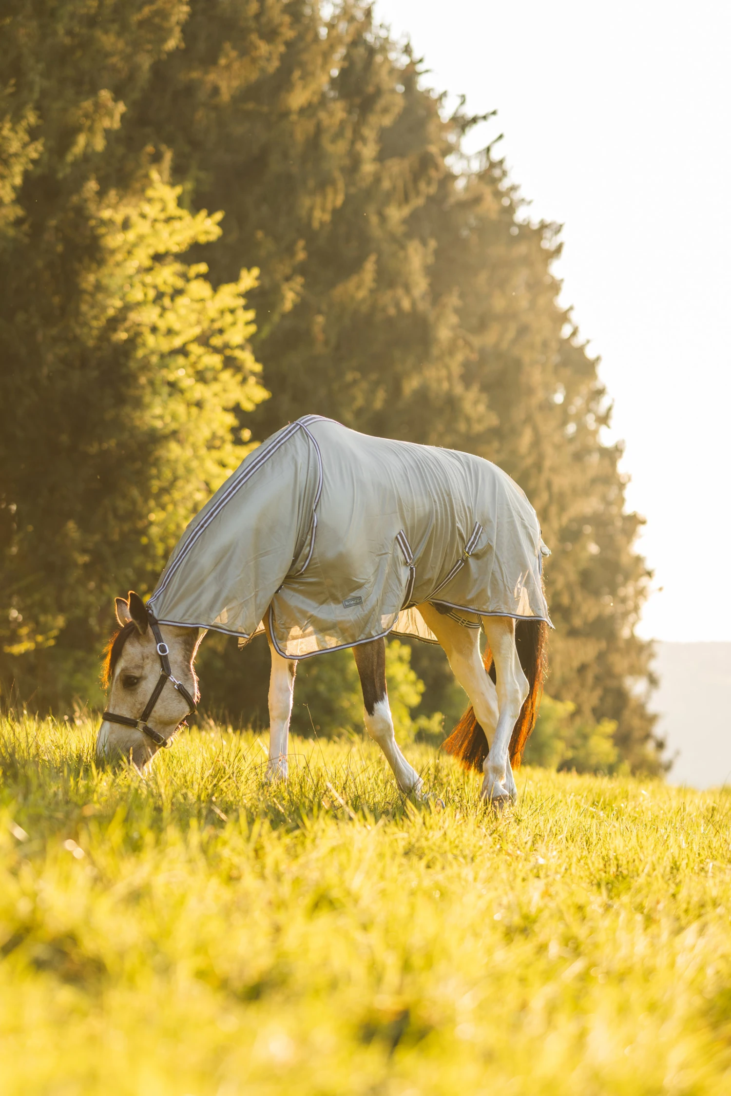 Horze La Pampa Fliegenschutz Set 13 Horze La Pampa Fliegenschutz Set – Bild 13