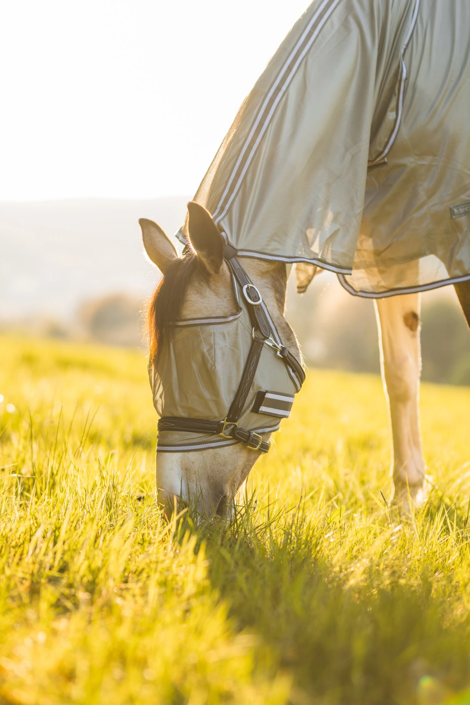 Horze La Pampa Fliegenschutz Set 14 Horze La Pampa Fliegenschutz Set – Bild 14