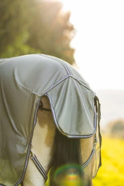 Horze La Pampa Fliegenschutz Set 35 Horze La Pampa Fliegenschutz Set -Pferdebedarf Angebote 24817 g 16