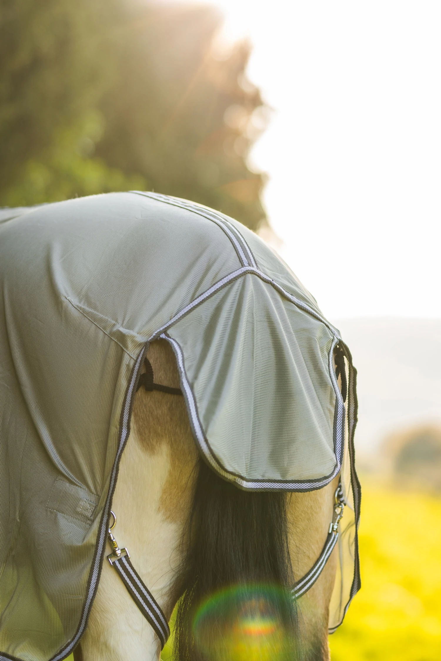 Horze La Pampa Fliegenschutz Set 16 Horze La Pampa Fliegenschutz Set – Bild 16